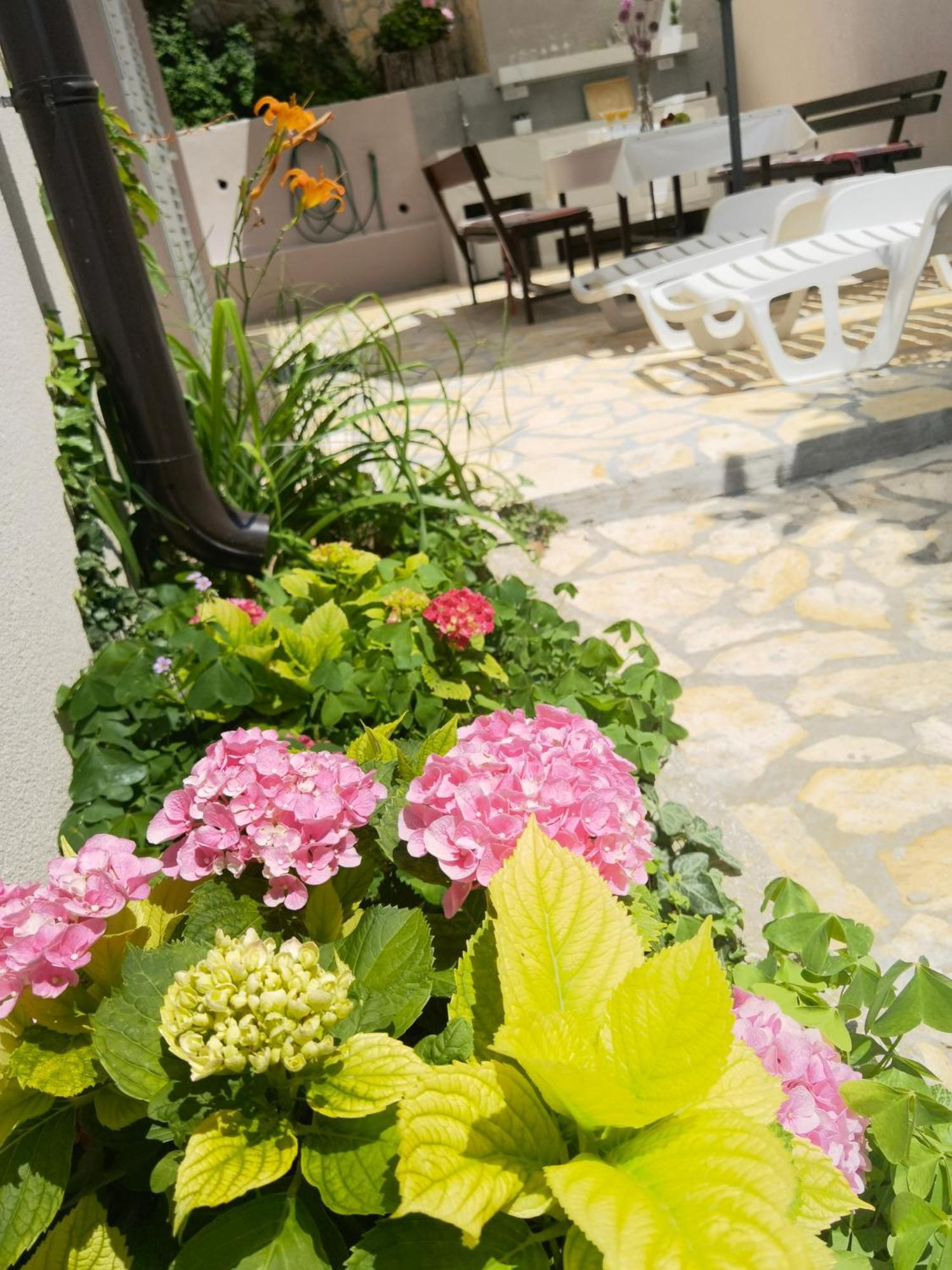 Apartment Zina Apartmants *